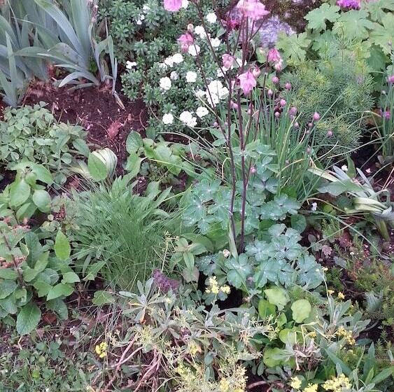 پانسیون Guesthouse Abrlic