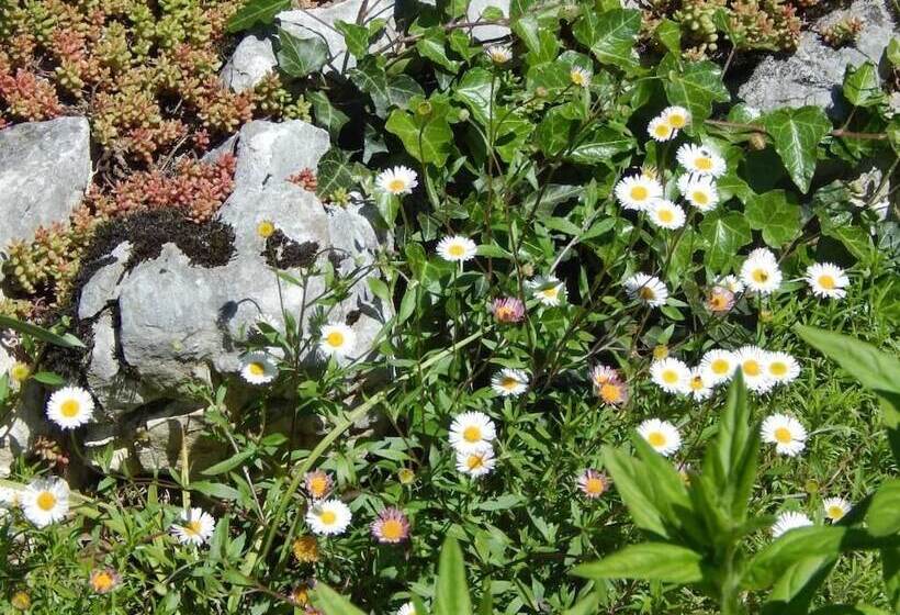 پانسیون Guesthouse Abrlic