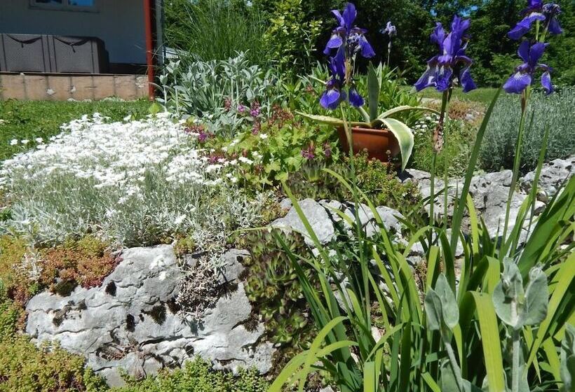 پانسیون Guesthouse Abrlic