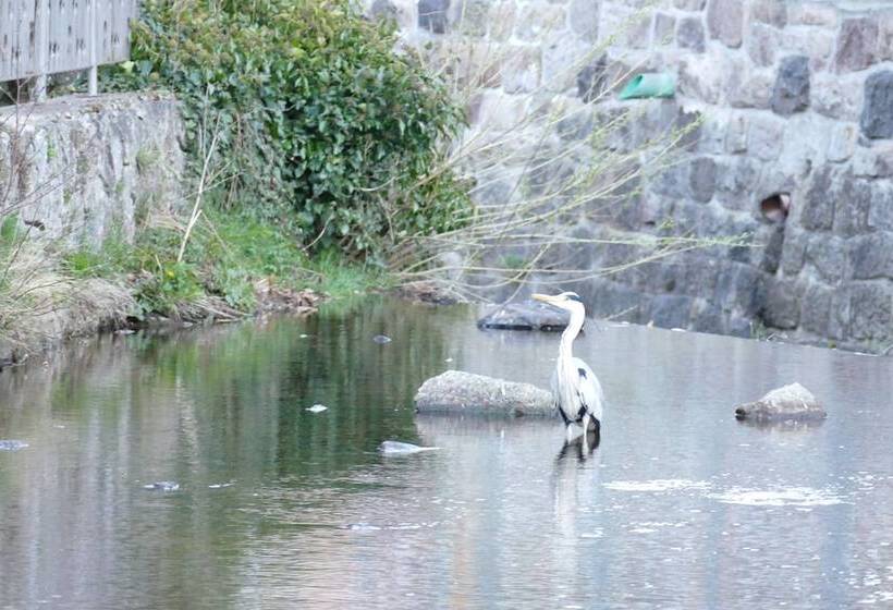 Schwarzwaldhaus Angelhof