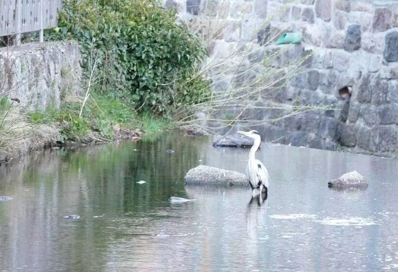 Schwarzwaldhaus Angelhof