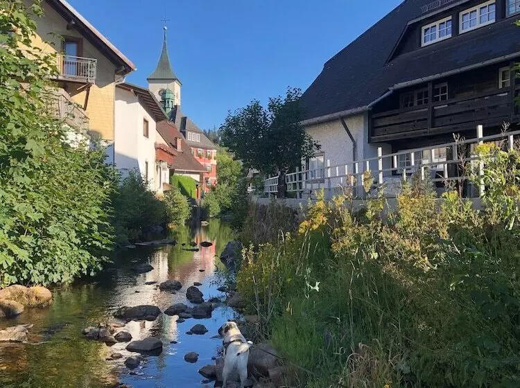 Schwarzwaldhaus Angelhof