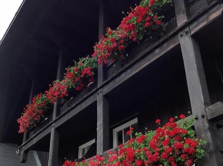 Schwarzwaldhaus Angelhof