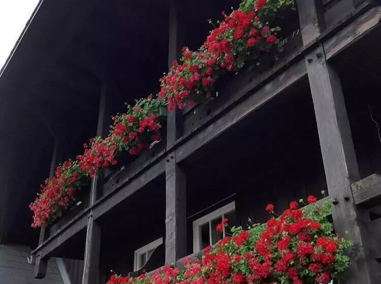 Schwarzwaldhaus Angelhof