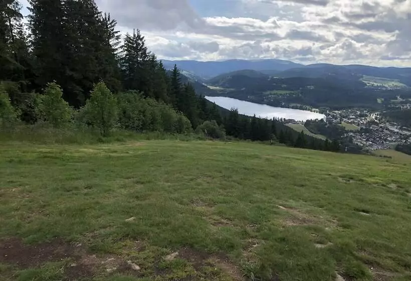 Schwarzwaldhaus Angelhof