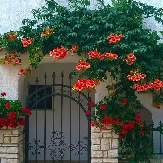 Apartment 959