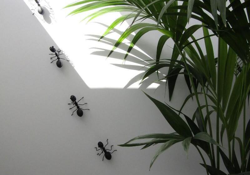 بنسيون Magma Rooms Playa Honda