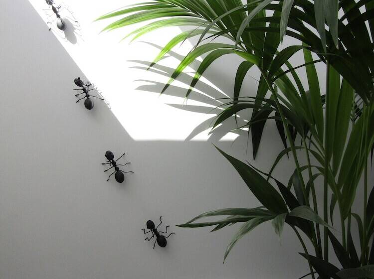 بنسيون Magma Rooms Playa Honda