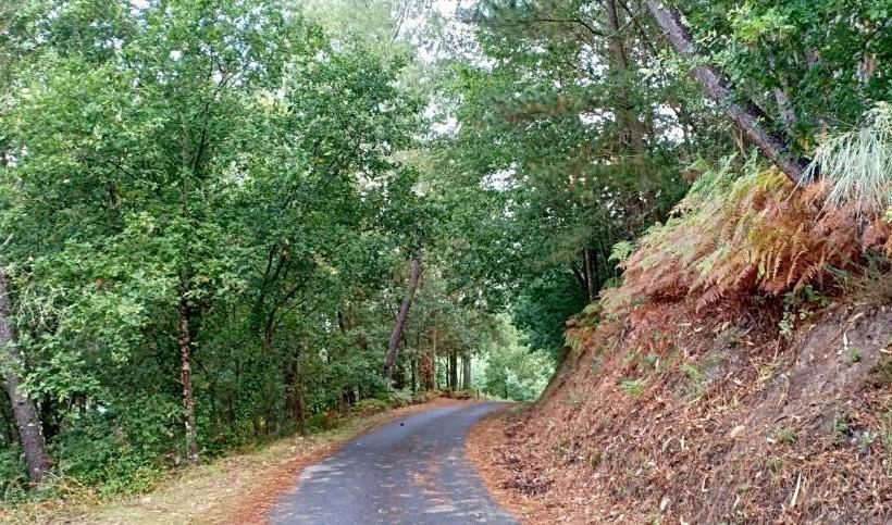 Casa Da Viña Ribeira Sacra