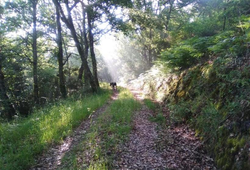 Casa Da Viña Ribeira Sacra