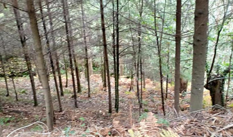 Casa Da Viña Ribeira Sacra