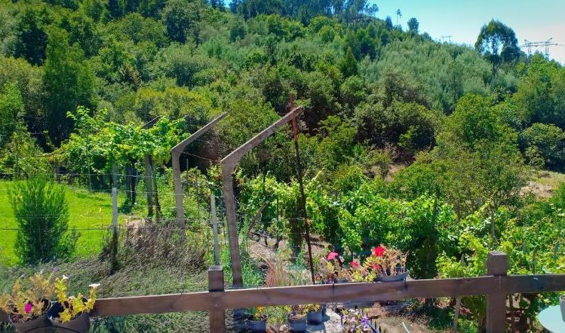 Casa Da Viña Ribeira Sacra