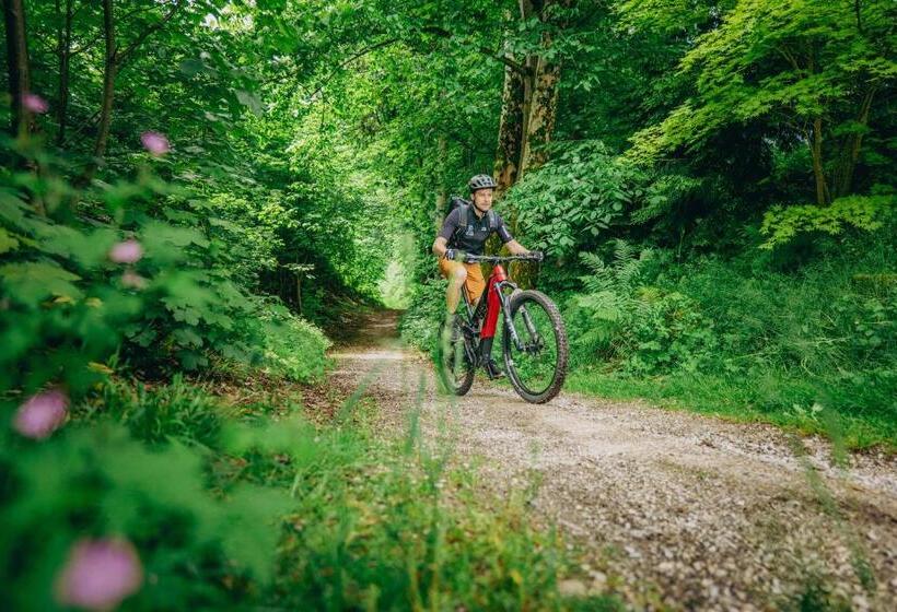 Отель Cocoon   Alpine Boutique Lodge