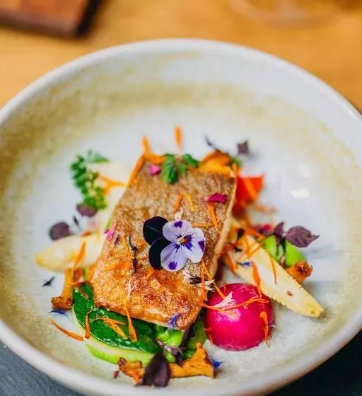 ホテル Cocoon   Alpine Boutique Lodge