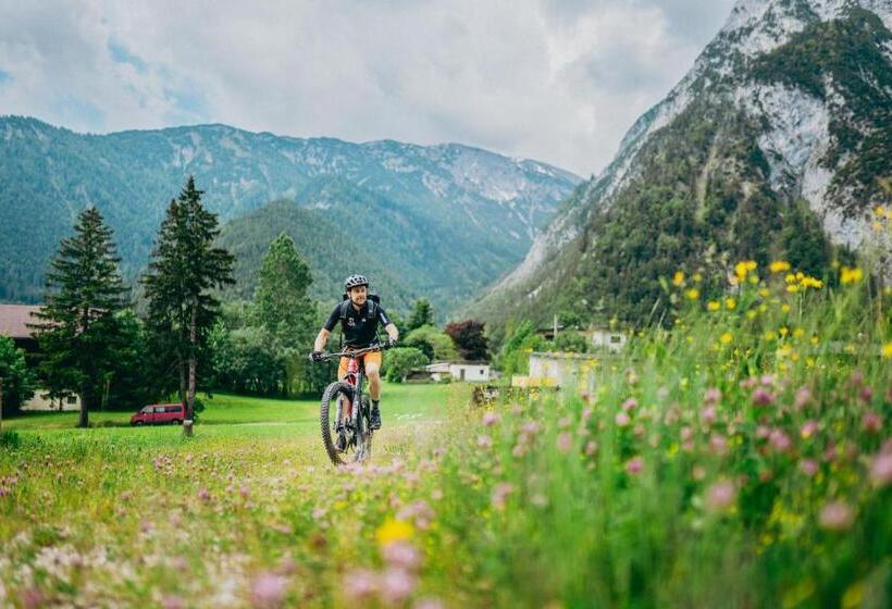 Отель Cocoon   Alpine Boutique Lodge