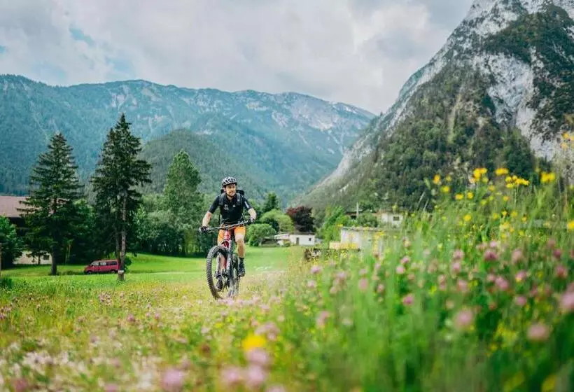 ホテル Cocoon   Alpine Boutique Lodge