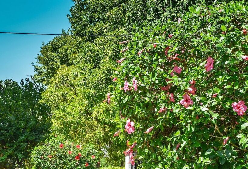 Azahar Apartamentos Heliópolis Ii