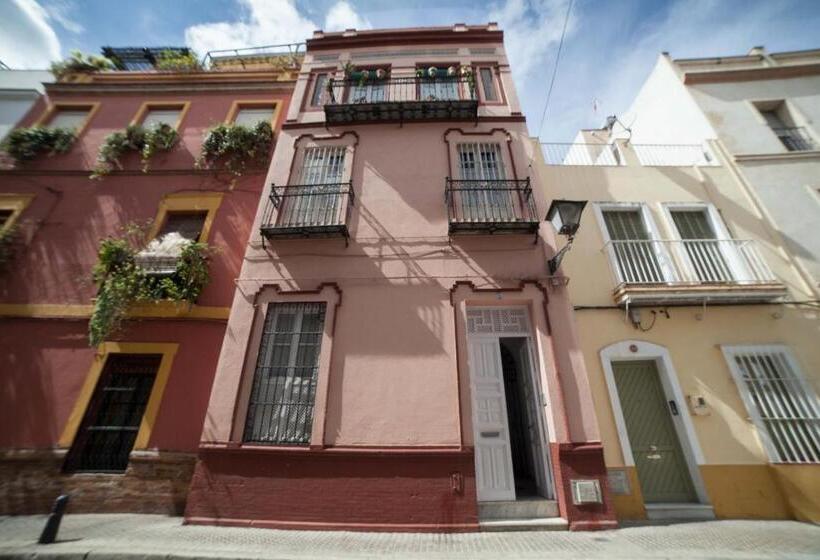 Eva Recommends Sentencia