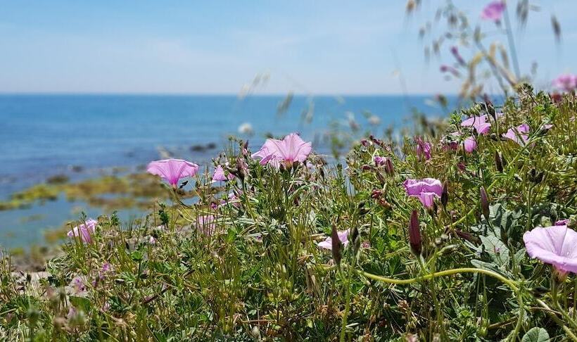 Exquisite Calahonda Beach Studio