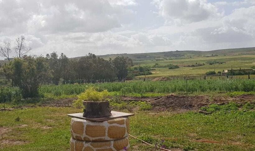 Maison La Branche D'oiseaux