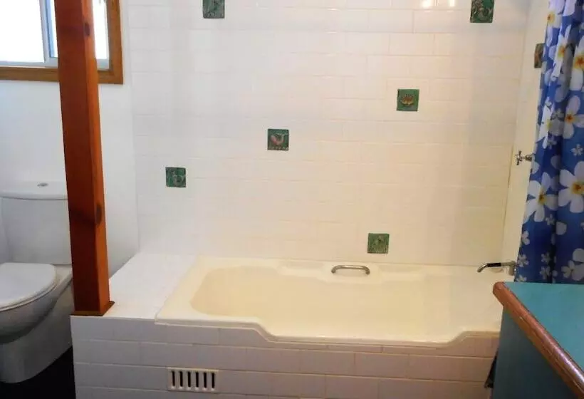 Cuckoo S Nest At South West Rocks