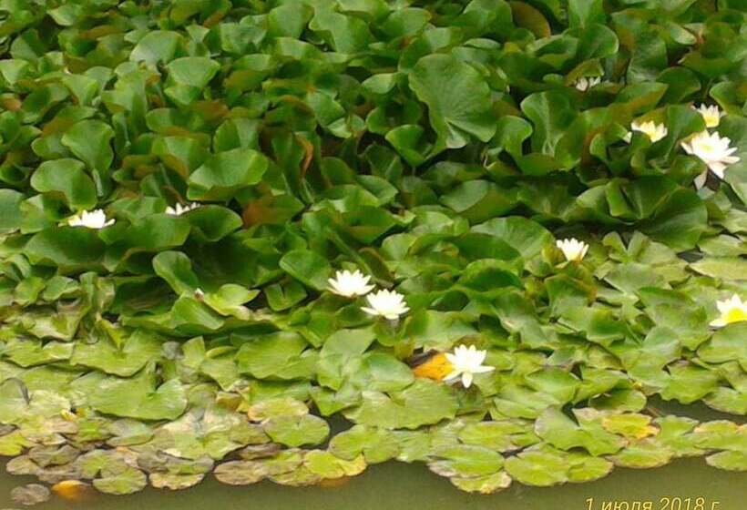 Отель Turbaza Serebryany Klyuch