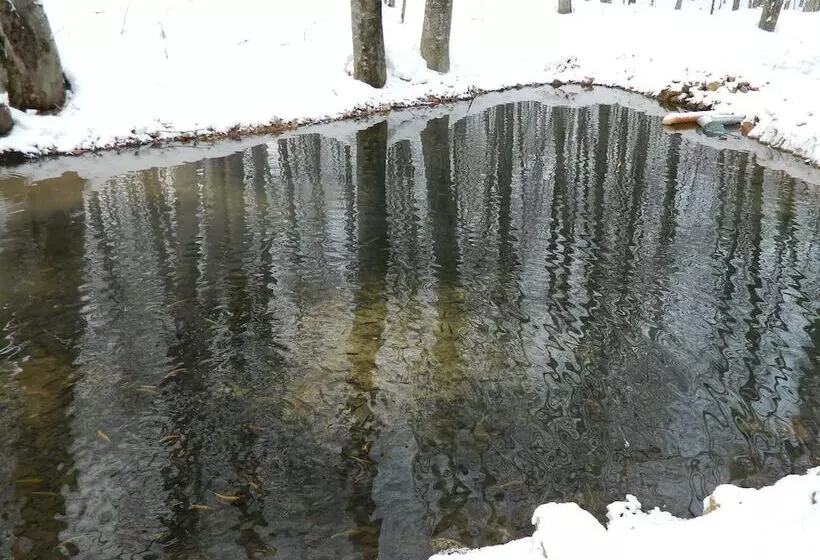 Hotelli Turbaza Serebryany Klyuch