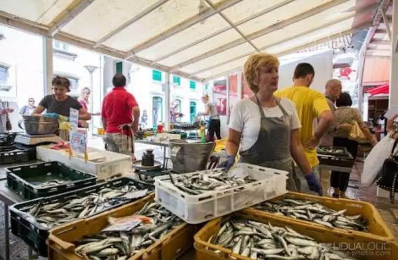 Villa Minerva Gardens