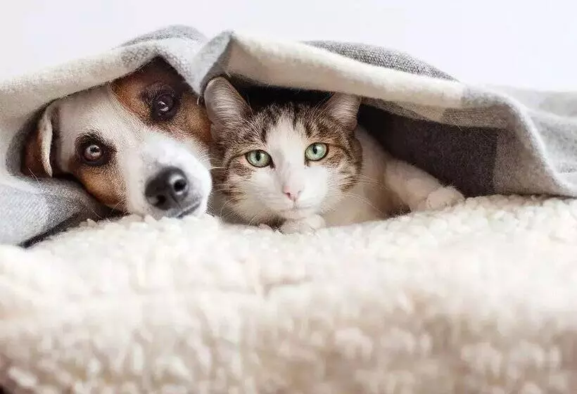 The Lodge At Ribasol