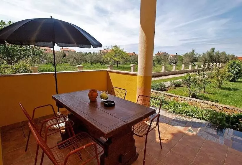 Apartment Dragan 114