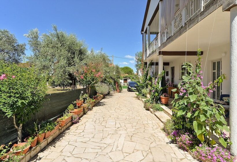 Apartments Jenny 518