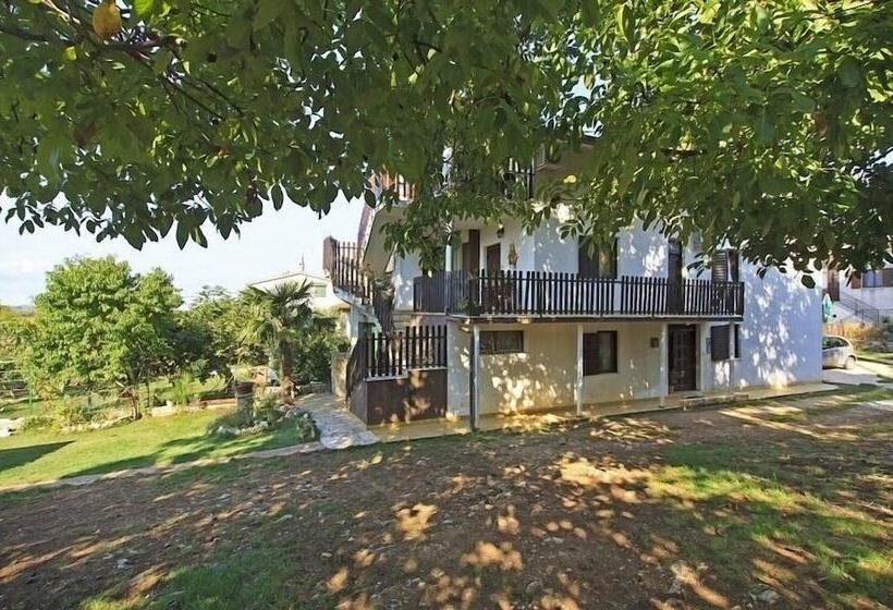 Apartments Luce 1204