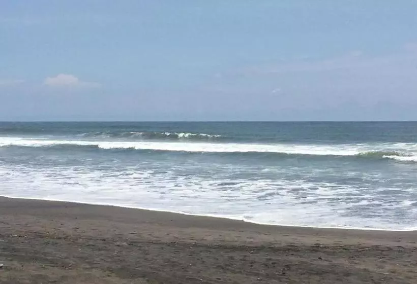 هتل Coco Blue Resort