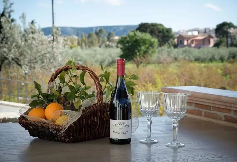 Traditional Guest House Grandma Vitsas