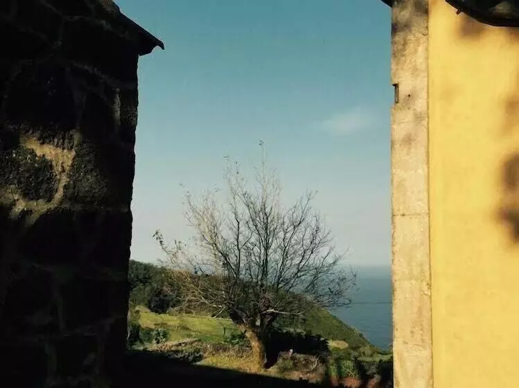 Serreta Island Home Al