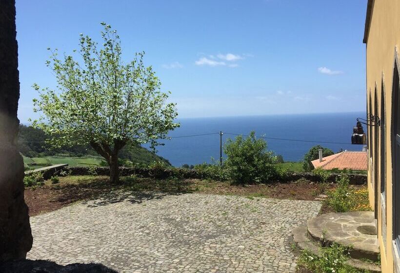 Serreta Island Home Al