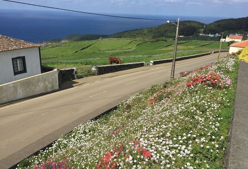 Serreta Island Home Al