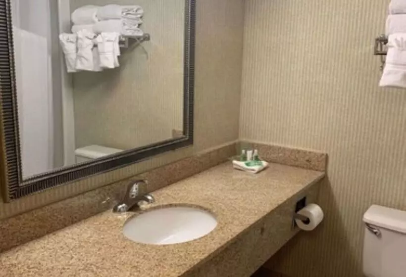 Aviator Hotel & Suites South I 55, Bw Signature Collection