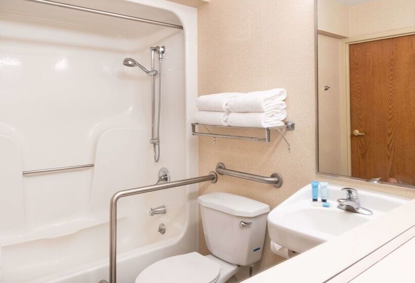 Aviator Hotel & Suites South I 55, Bw Signature Collection