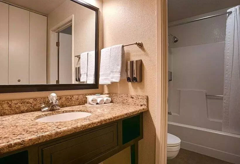 ホテル Best Western Yuba City Inn