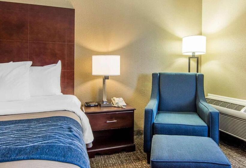 هتل Comfort Inn Atlanta Downtown South