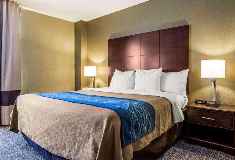 هتل Comfort Inn Atlanta Downtown South