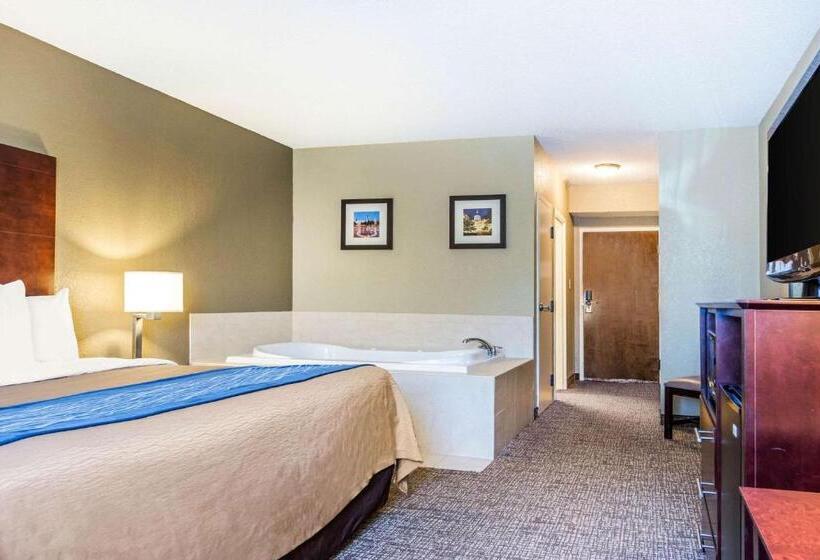هتل Comfort Inn Atlanta Downtown South