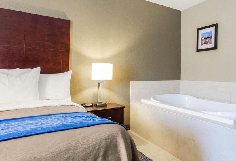 هتل Comfort Inn Atlanta Downtown South