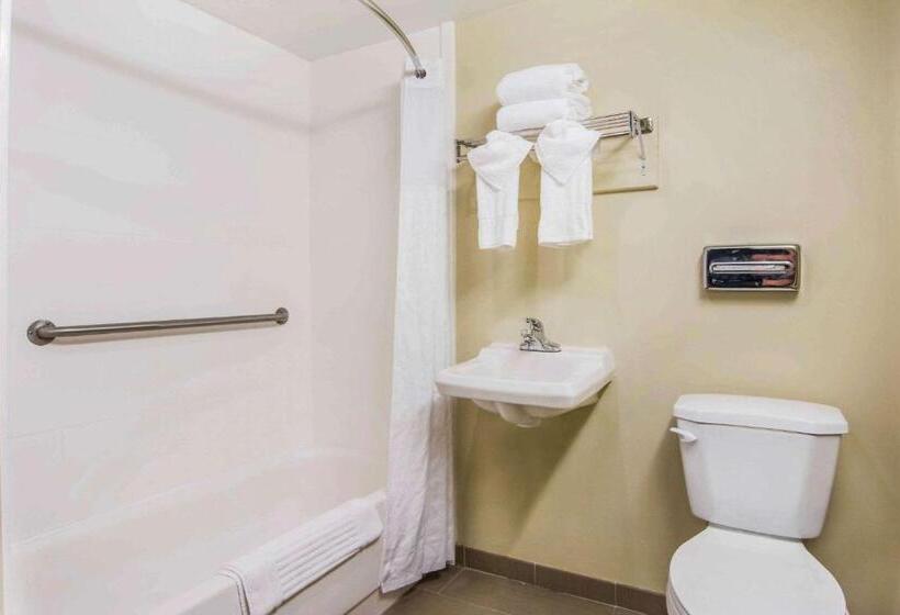 هتل Comfort Inn Atlanta Downtown South