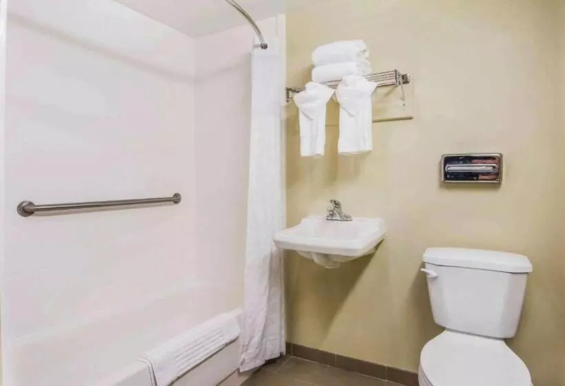 酒店 Comfort Inn Atlanta Downtown South