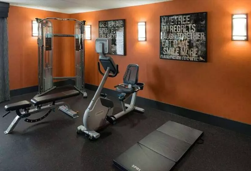هتل Holiday Inn Express & Suites Nashville Southeast   Antioch, An Ihg
