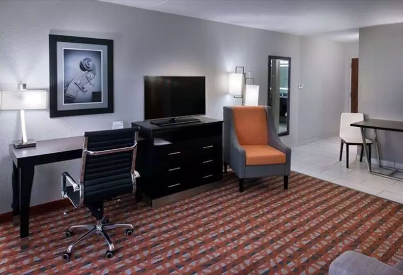 هتل Holiday Inn Express & Suites Nashville Southeast   Antioch, An Ihg