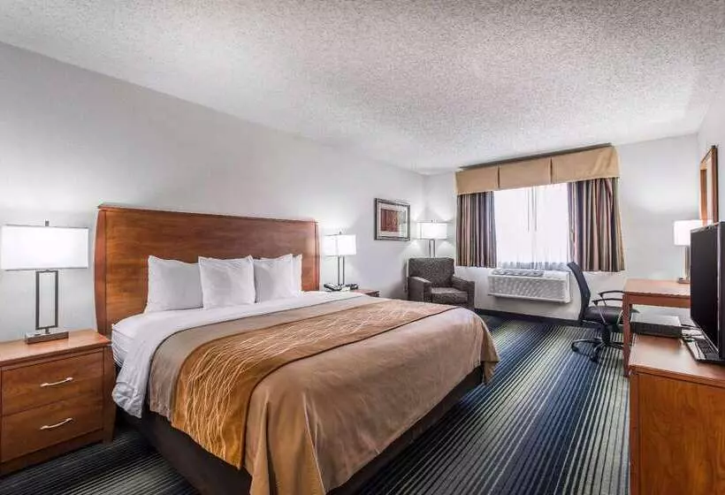 Otel Quality Inn Denver Westminster