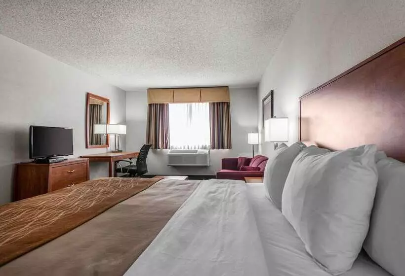Otel Quality Inn Denver Westminster